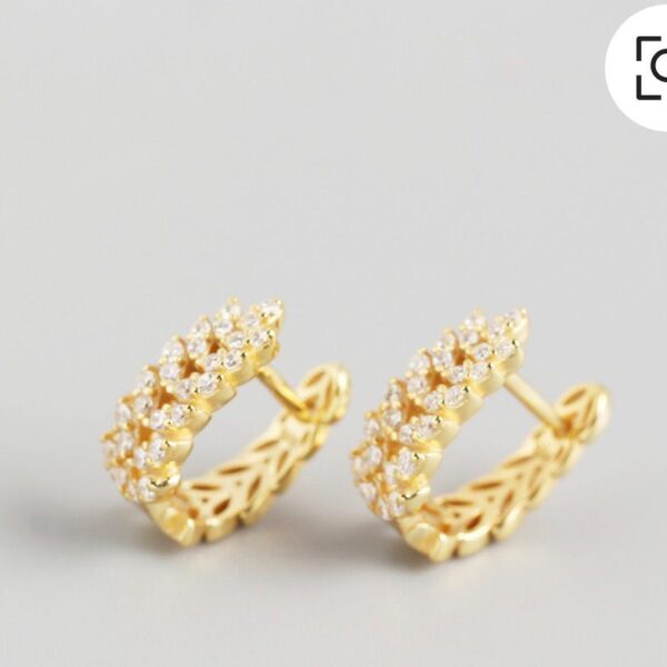 Luxury Crystal Hoop Earrings | Gold Color Premium Fashion Jewelry